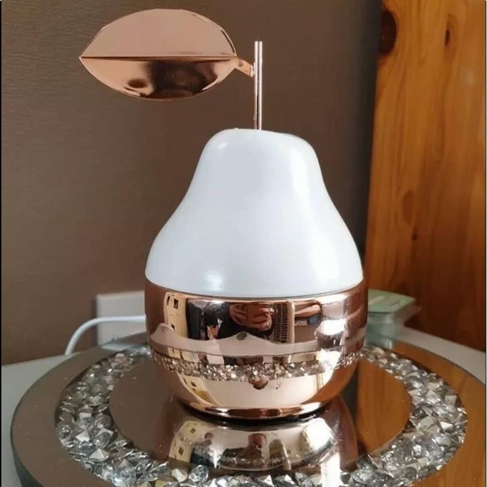 Lightly used Scentsy warmer